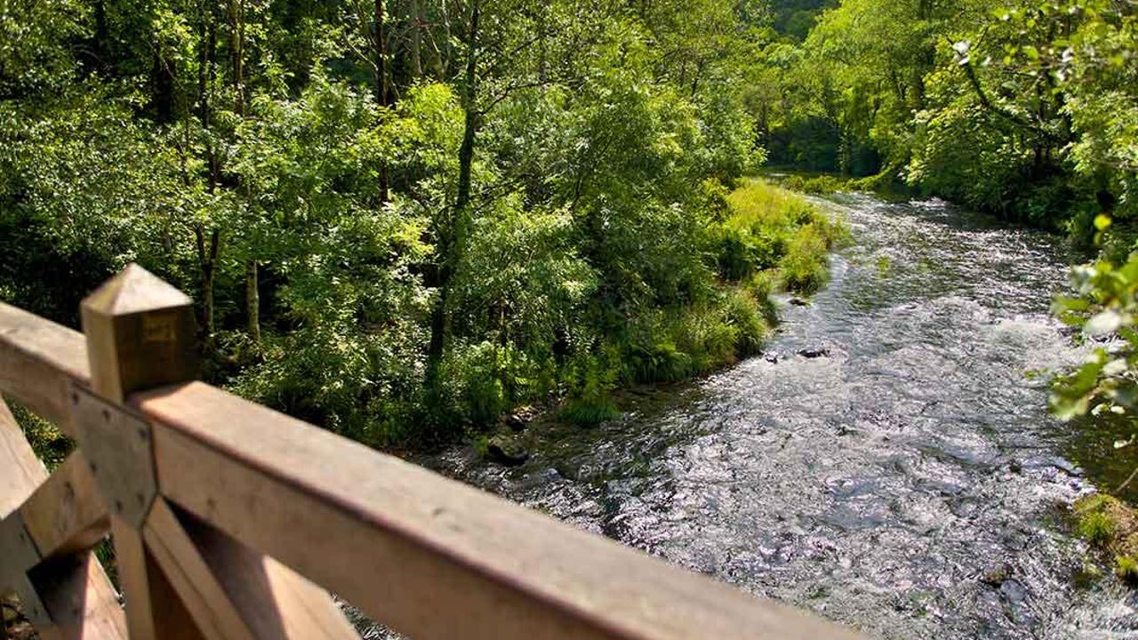 Esta ruta de Galicia atraviesa un bosque de leyenda que esconde un monasterio milenario