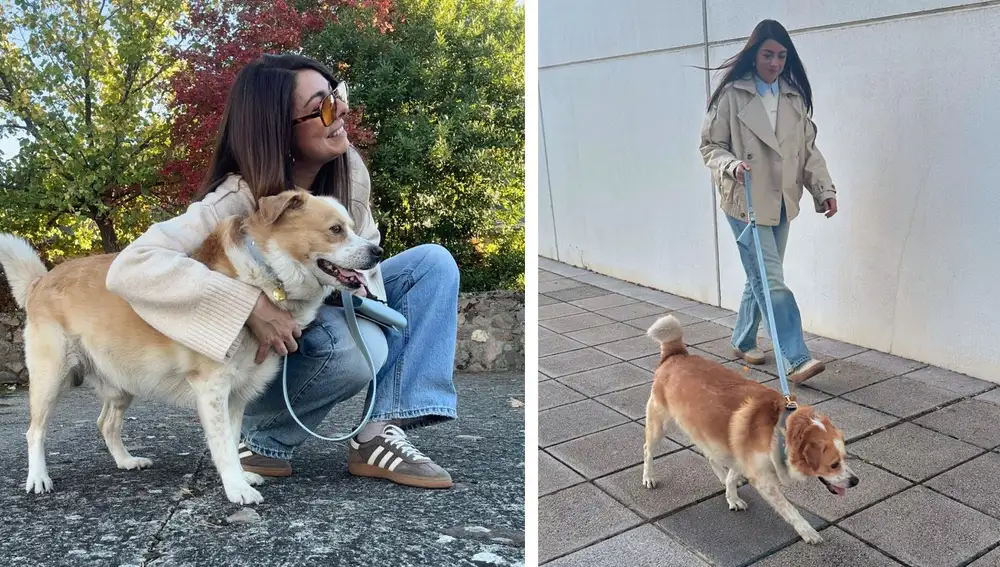 Nuestros paseos diarios con el set Nara azul cielo de Branni Pets.