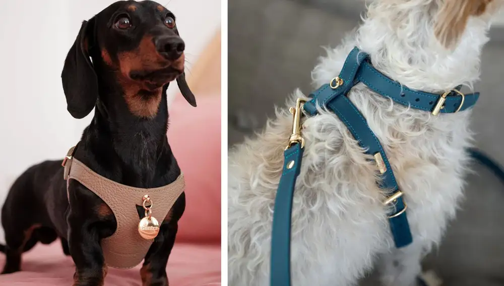 Branni Pets ofrece distintos modelos de arneses y correas, con el mismo nivel de detalle artesanal.