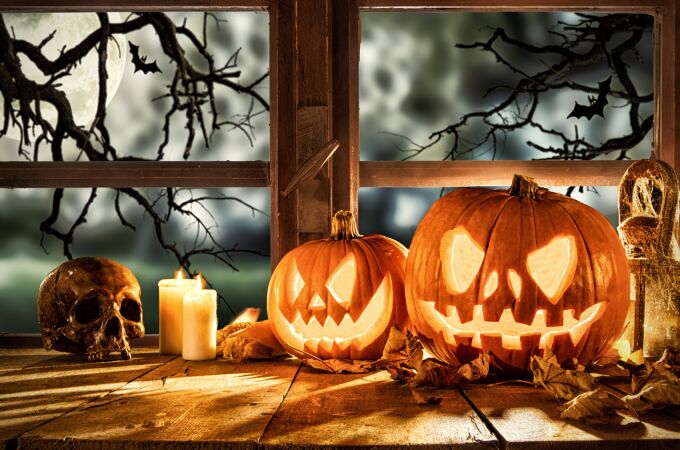 Lidl lanza su colección de plantas de Halloween: decoración natural y temática por menos de 8 €