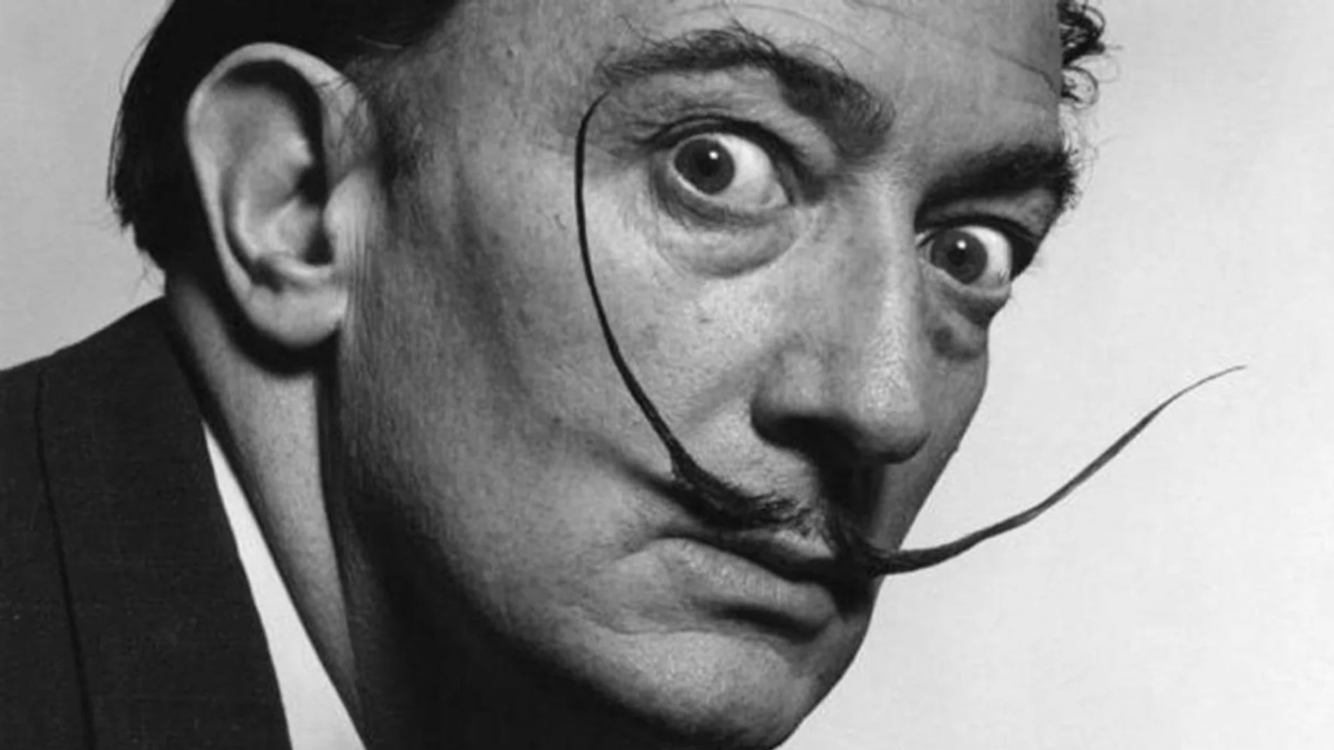 Qué quería decir Dalí cuando dijo ‘La inteligencia sin ambición es un pájaro sin alas