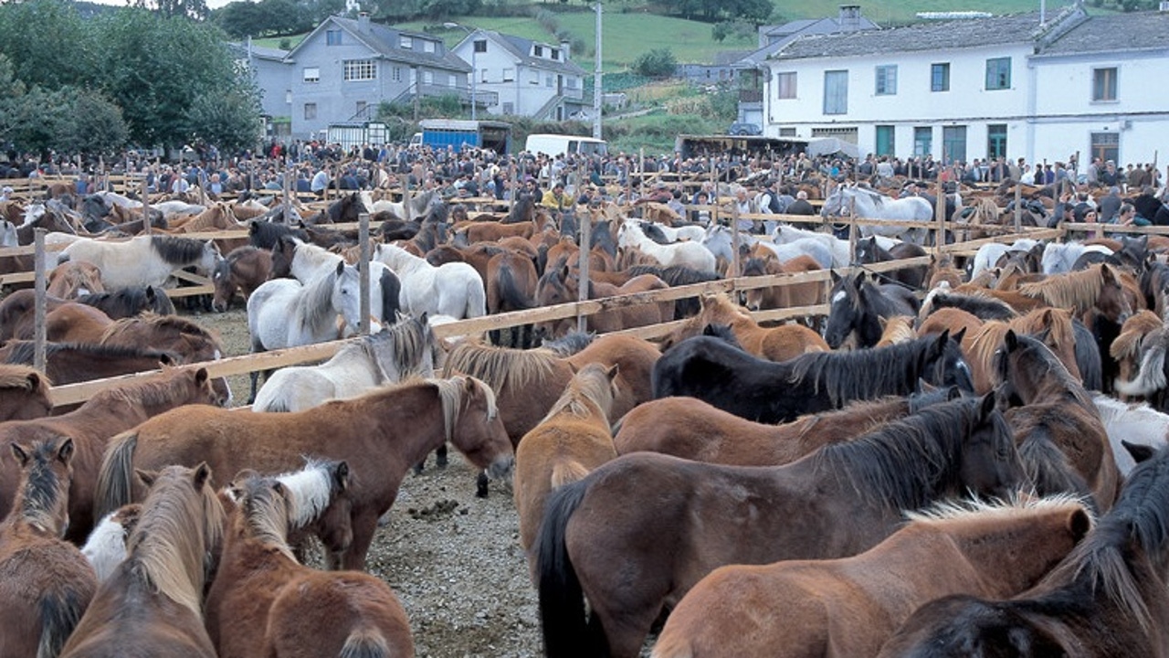 Esta es la feria más antigua de Galicia que ha sobrevivido casi nueve siglos sin perder su magia
