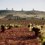 La Ruta del Vino de La Mancha: un viaje por los sabores del mayor viñedo del mundo