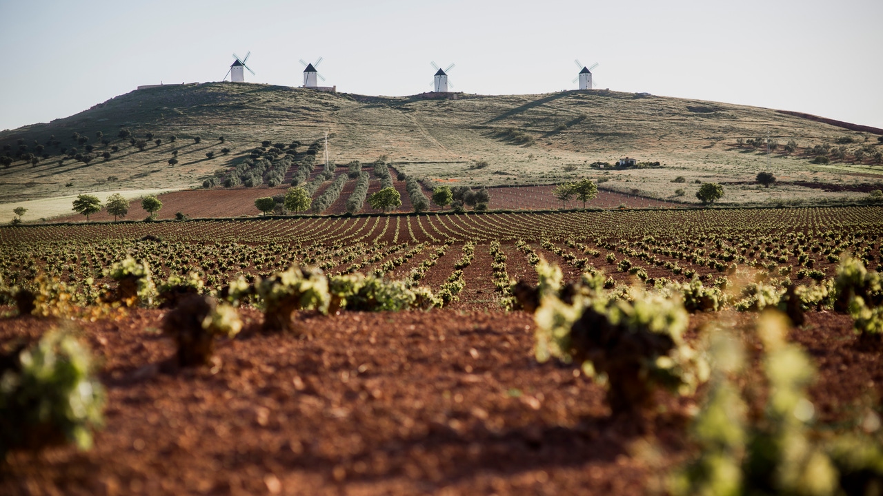 La Ruta del Vino de La Mancha: un viaje por los sabores del mayor viñedo del mundo
