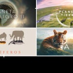 Movistar Plus+ y BBC Studios refuerzan su alianza con el lanzamiento en Espa&ntilde;a de BBC Player y nuevos canales