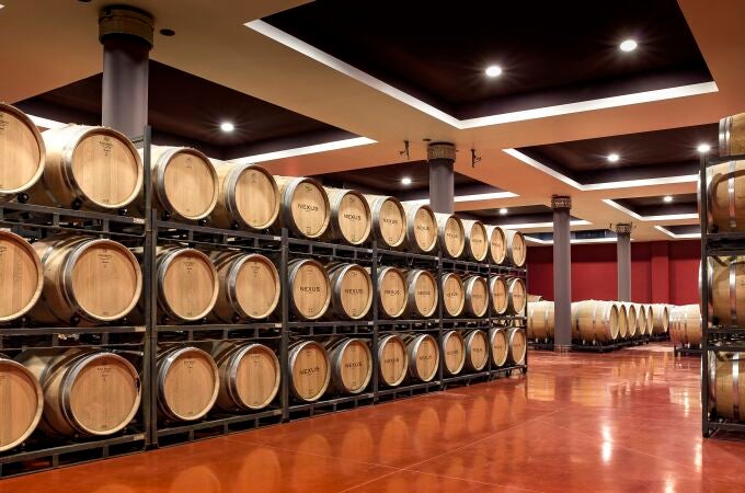 Barricas en la bodega