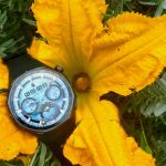 GT 6 Pro de Huawei GT 6 Pro de Huawei