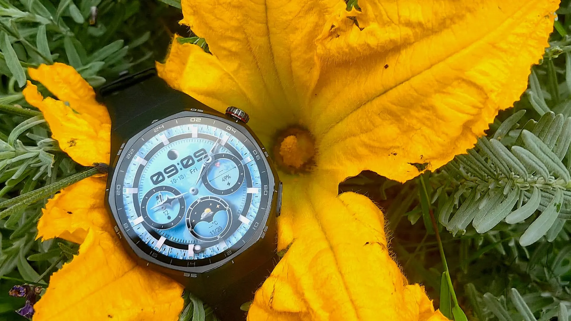 smartwatch