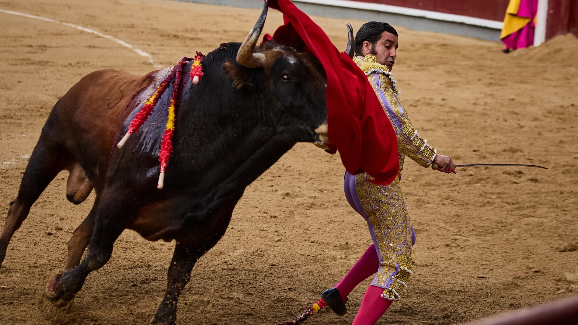 Cogida de Morante en las Ventas