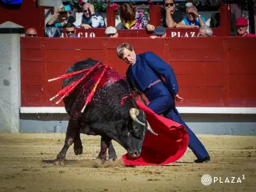Curro Vázquez pone Madrid bocabajo a sus 74 años Curro Vázquez pone Madrid bocabajo a sus 74 años