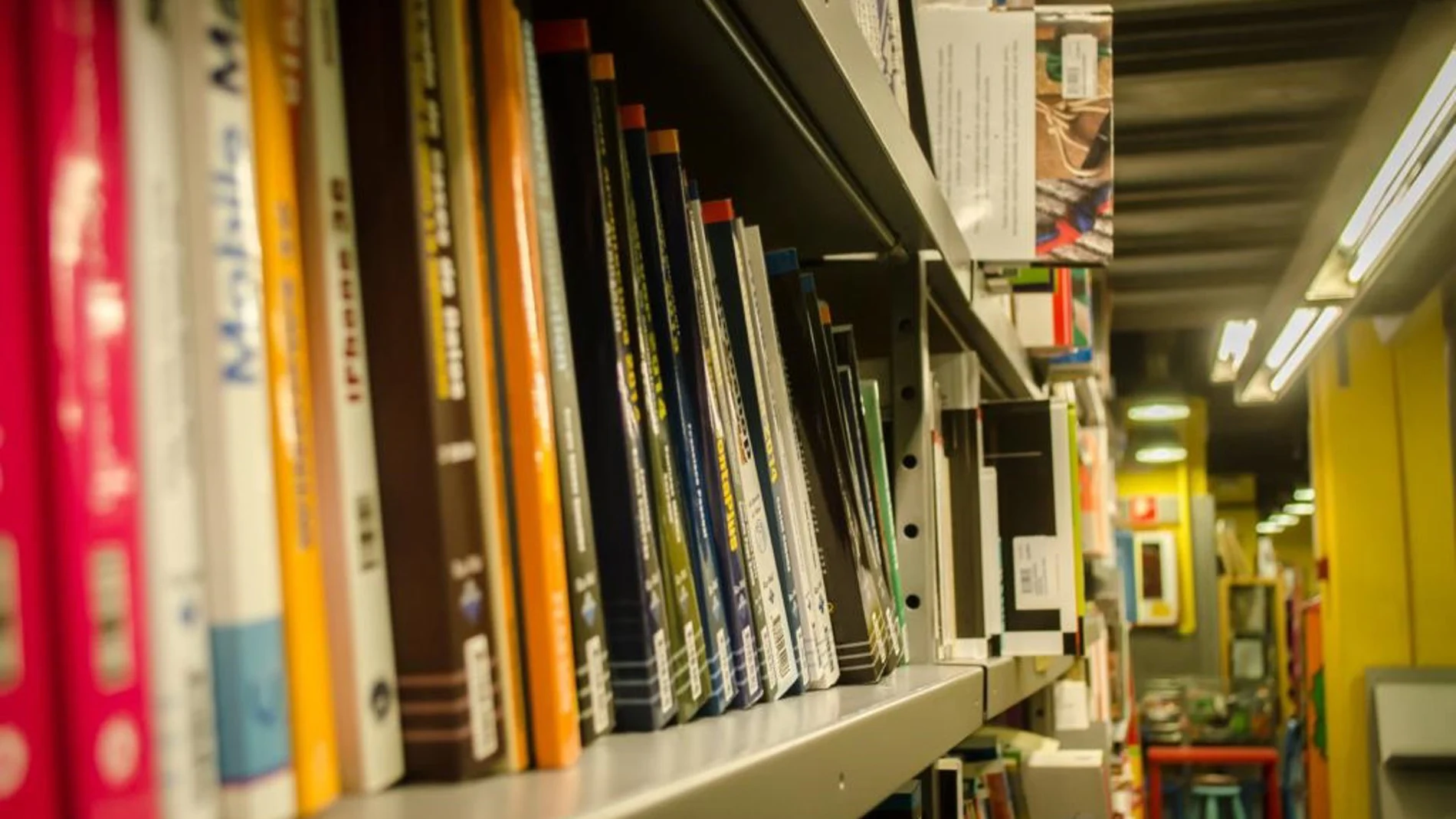 MADRID.-Más de medio millón de alumnos madrileños se benefician del programa Accede, el sistema de préstamo de libros de texto