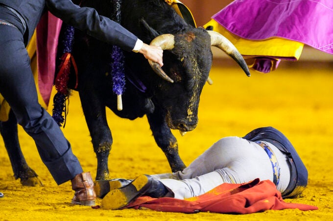 Festival Taurino en homenaje a las Dinastía de los Vázquez (Sevilla)