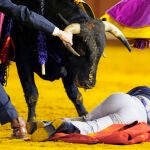 Festival Taurino en homenaje a las Dinastía de los Vázquez (Sevilla)