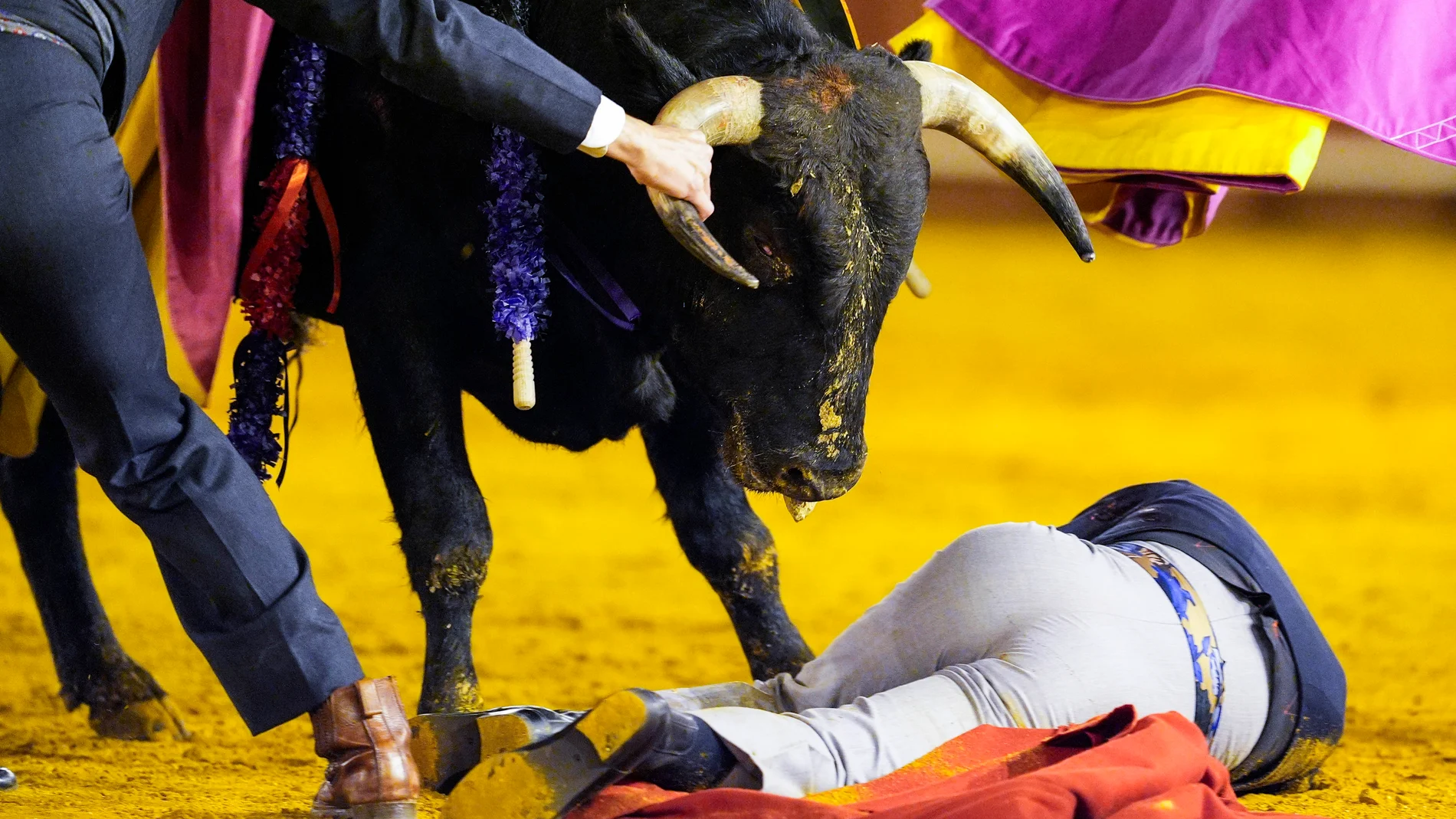 El novillero Manuel Dominguez durante el Festival Taurino en homenaje a las Dinastía de los Vázquez en la Real Maestranza de Caballería, a 13 de octubre de 2025 en Sevilla (Andalucía, España). En la tarde de hoy se ha celebrado el Festival Taurino en homenaje a las Dinastía de los Vázquez a beneficio de la Bolsa de Caridad de la Hermandad de San Bernardo y de la Hermandad del Amor. 13 OCTUBRE 2025 Joaquin Corchero / Europa Press 13/10/2025