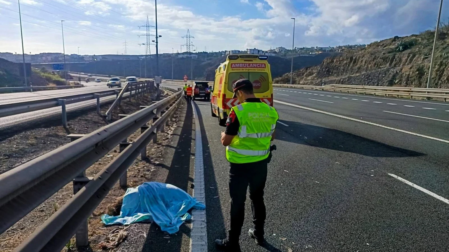 Emú muerto en la GC-3