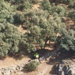 Momento del rescate de la mujer herido enel desfiladero del Río Moros