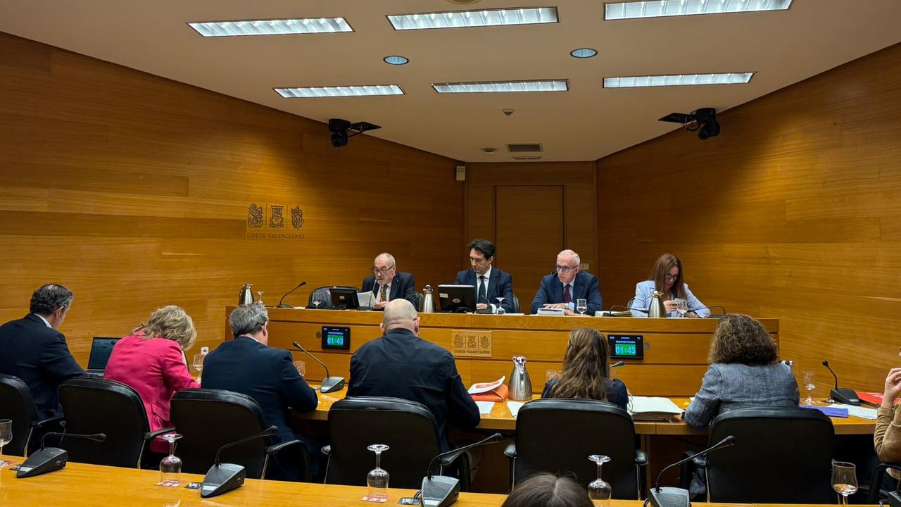 Los ingenieros dicen en Les Corts que Aemet, CHJ y Emergencias "todos fallaron" en la dana y dan "una década" para la reconstrucción