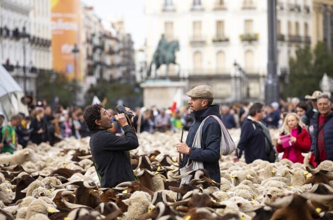 Celebración del día de la Trashumancia en Madrid