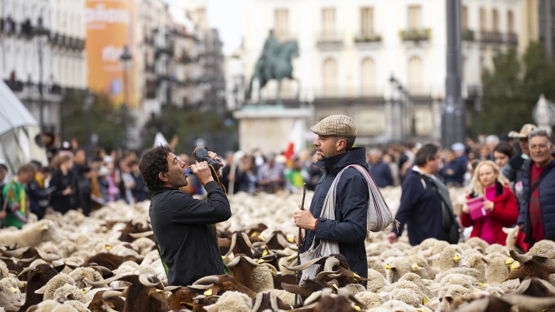 Celebración del día de la Trashumancia en Madrid