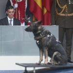 Pedro Sánchez no cuenta con los apoyos necesarios para blindar el aborto en la Constitución
