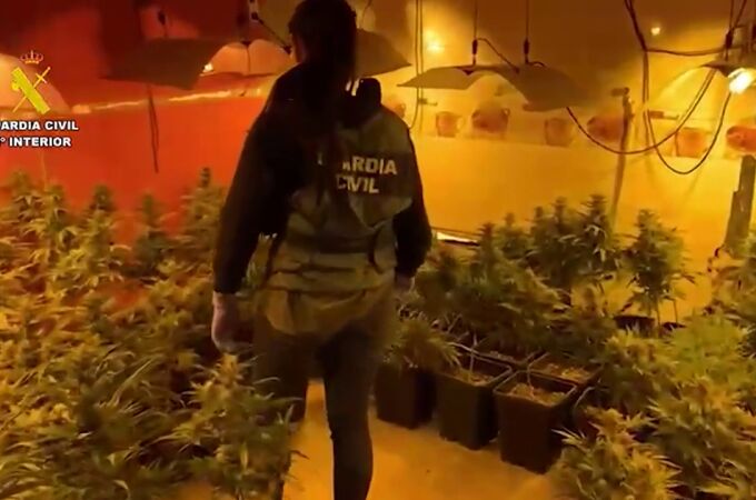Desarticulado un grupo criminal dedicado al tráfico de drogas en Rivas-Vaciamadrid