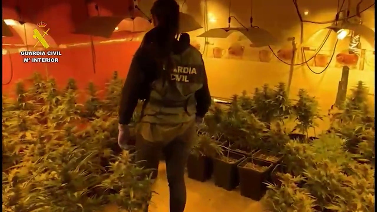 Golpe al tráfico de drogas en la Cañada Real