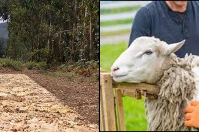 Una de las iniciativas puestas en marcha Una de las iniciativas puestas en marcha