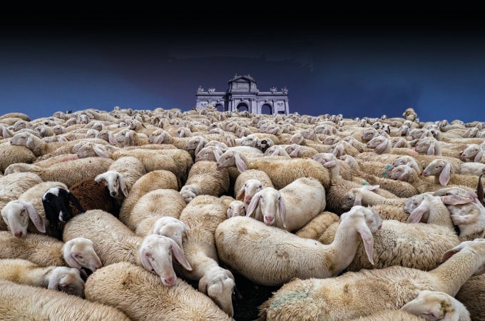 La protección del lobo va contra los rebaños, igual que la prohibición de la ganadería en los montes azuza las llamas