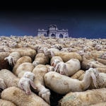 La protección del lobo va contra los rebaños, igual que la prohibición de la ganadería en los montes azuza las llamas