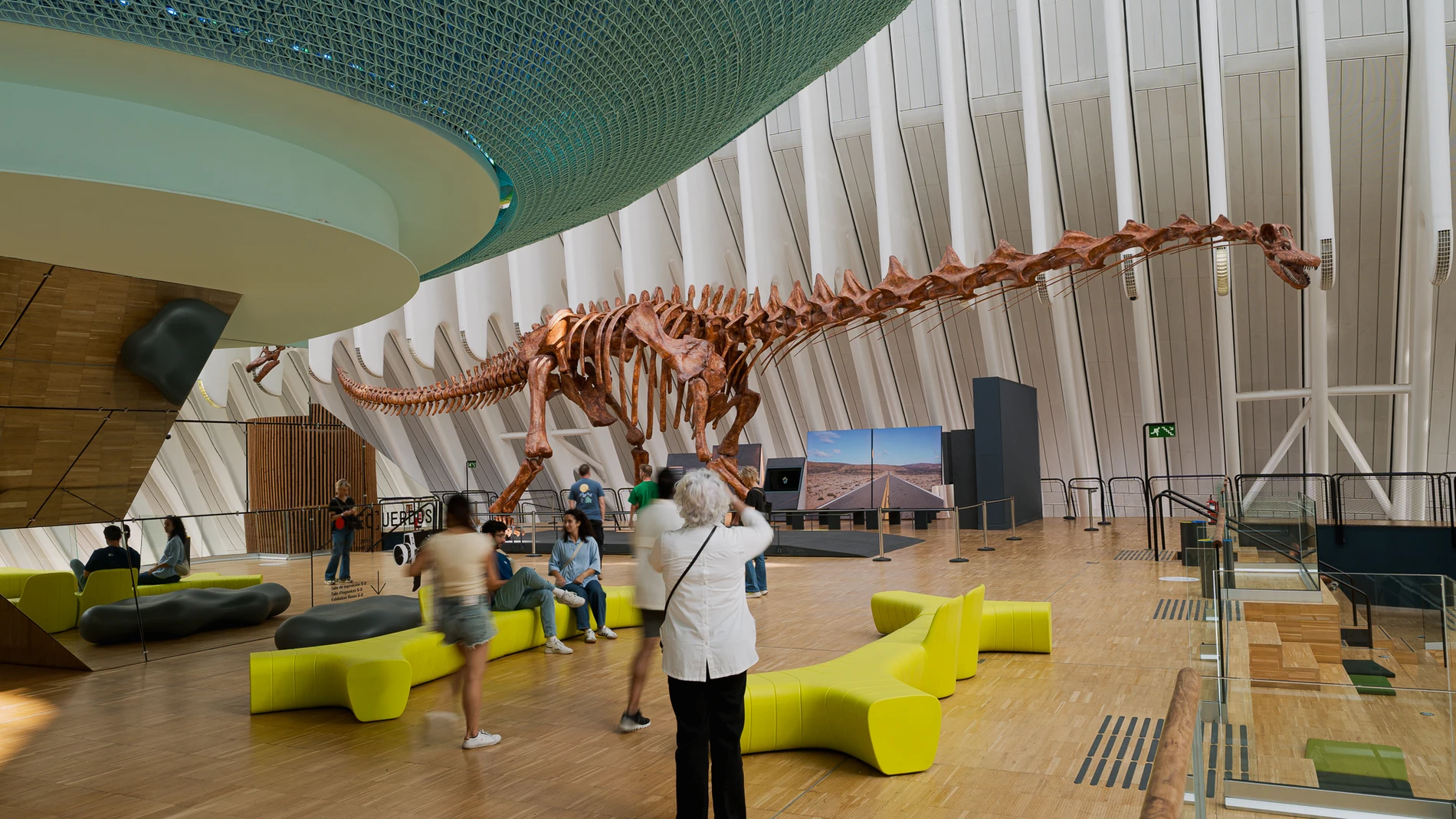 CaixaForum Valencia muestra al mayor dinosaurio conocido hasta el momento