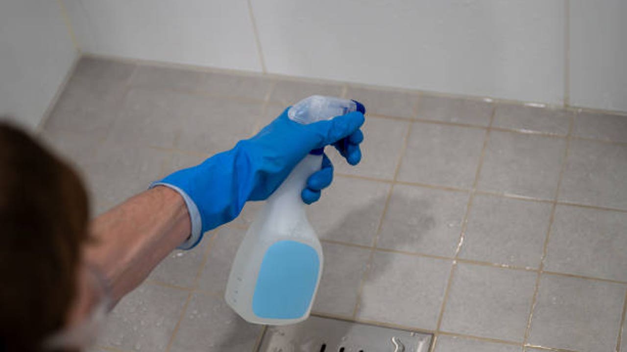 Tu ducha está llena de bacterias que podrían enfermarte: haz esto para evitarlo