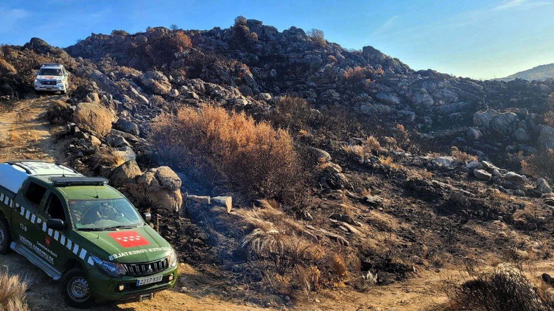 Madrid reconstruye los nidos de buitre negro afectados por un incendio en el valle del río Duero portugués