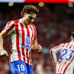 ATLÉTICO DE MADRID / OSASUNA