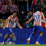 ATLÉTICO DE MADRID / OSASUNA