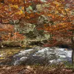 El Hayedo de Montejo, un clásico que invita a disfrutar del espectáculo cromático del otoño a hora y media de la capital