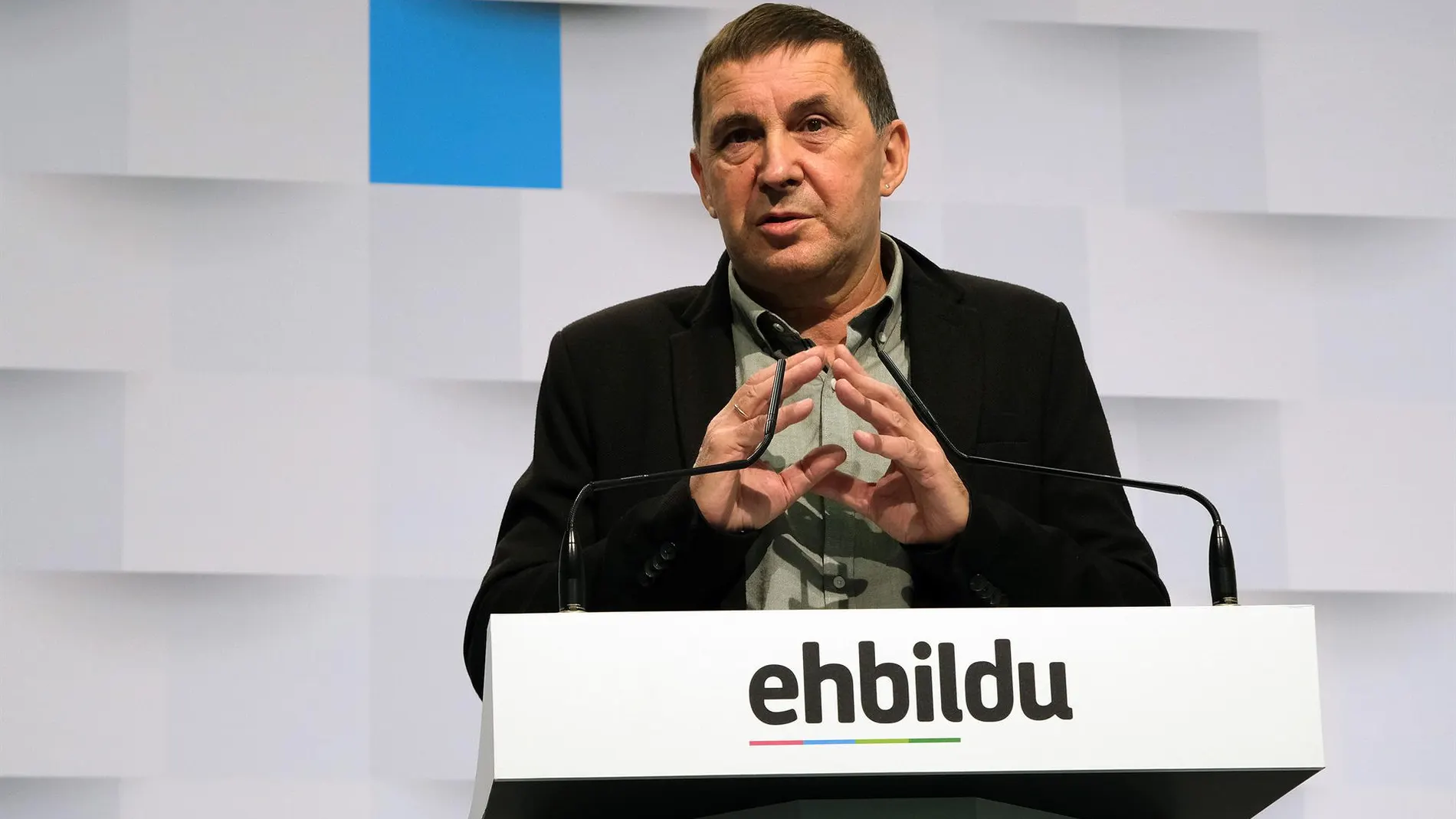 Otegi dice que el nuevo estatus para Euskadi pasa por una izquierda española "con un modelo de estado altenativo"