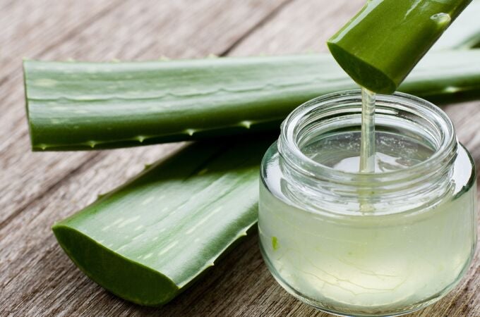 Aloe vera Aloe vera