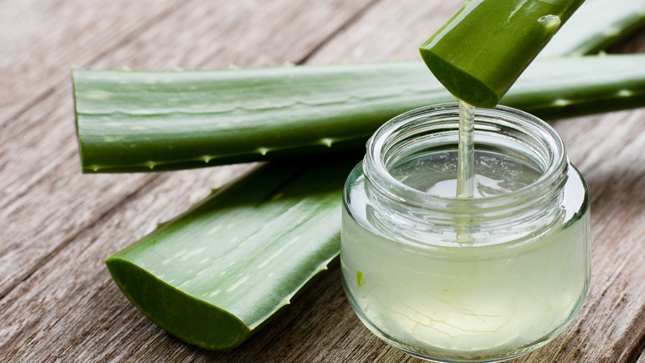 Así transforma el aloe vera tu piel: hidratación, calma y glow al instante