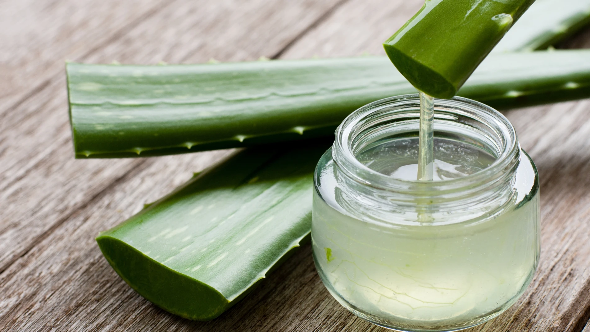 Tomando aloe vera