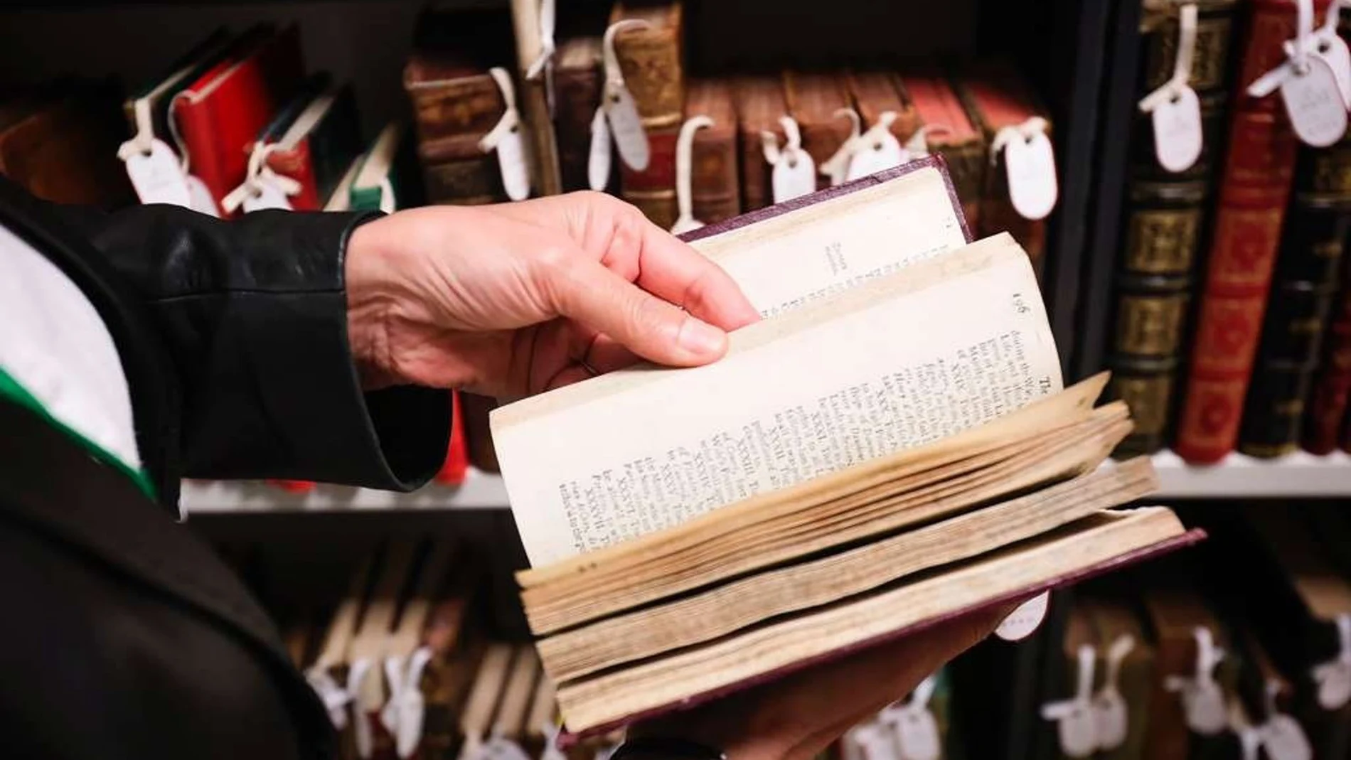 ANDALUCÍA.-La Junta celebra este viernes el Día de las Bibliotecas con actividades en todas las provincias andaluzas