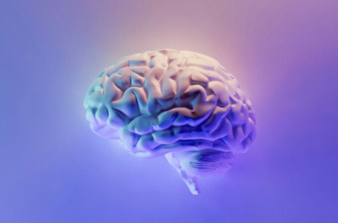 Esta es la edad en la que el cerebro humano alcanza su máximo rendimiento.