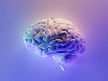 Esta es la edad en la que el cerebro humano alcanza su máximo rendimiento. Esta es la edad en la que el cerebro humano alcanza su máximo rendimiento.