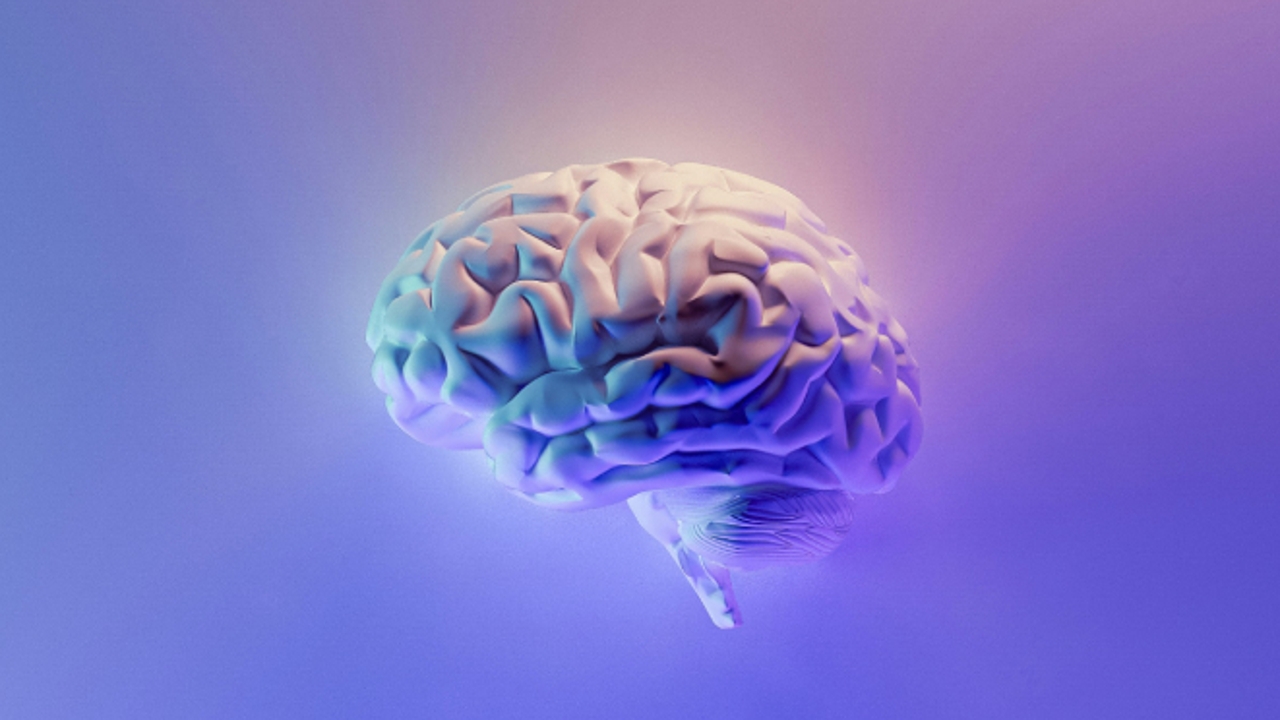 Esta es la edad en la que el cerebro humano alcanza su máximo rendimiento
