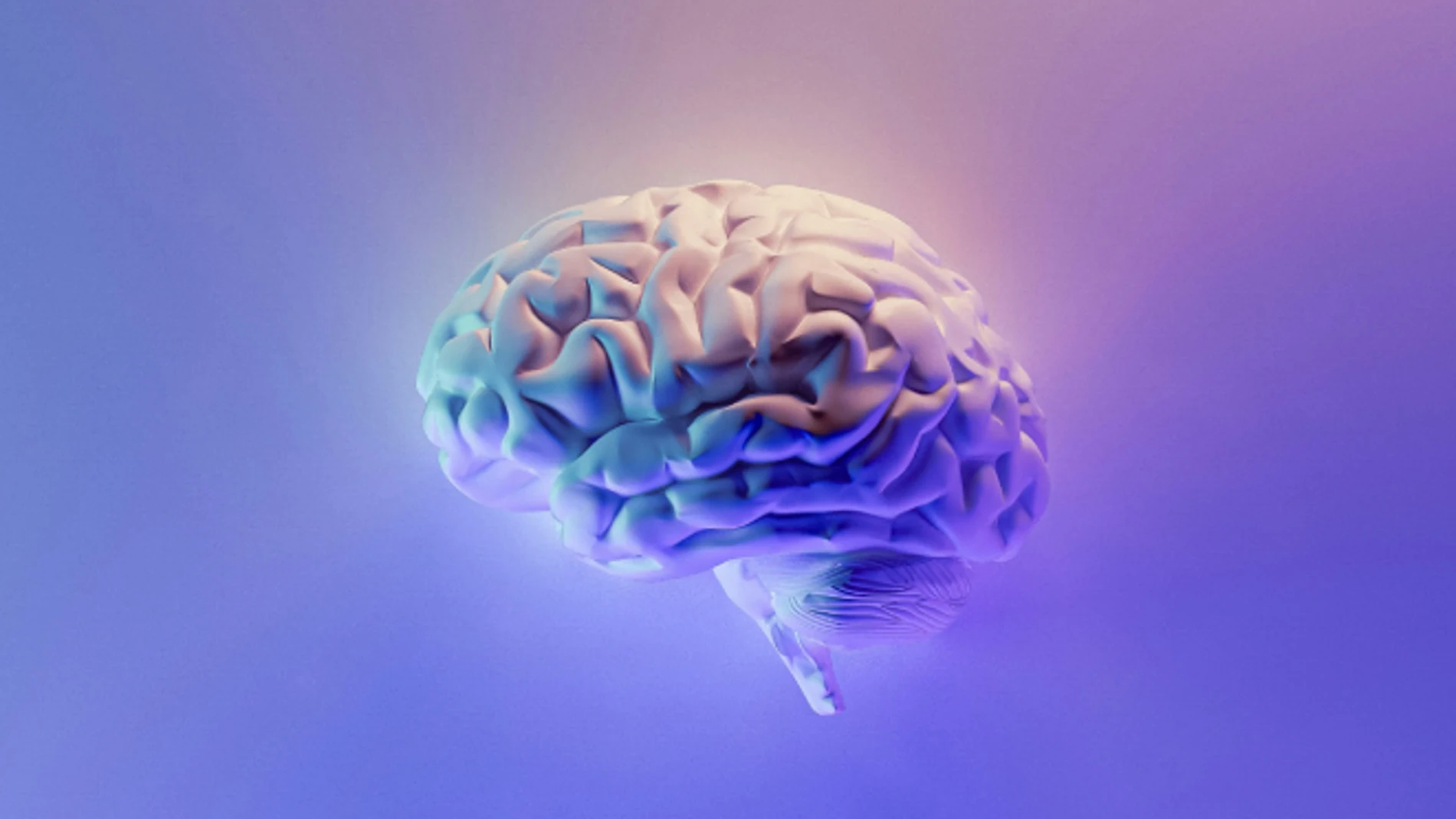 Esta es la edad en la que el cerebro humano alcanza su máximo rendimiento.