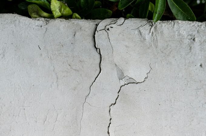 Farid Dieck, experto en salud mental: “A veces las grietas son puertas: por ahí entra la luz y también el aire” Farid Dieck, experto en salud mental: “A veces las grietas son puertas: por ahí entra la luz y también el aire”