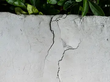 Farid Dieck, experto en salud mental: “A veces las grietas son puertas: por ahí entra la luz y también el aire” Farid Dieck, experto en salud mental: “A veces las grietas son puertas: por ahí entra la luz y también el aire”