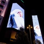 El Ayuntamiento recaba información porque "no parece" que Rosalía tuviera "autorización expresa" para el evento