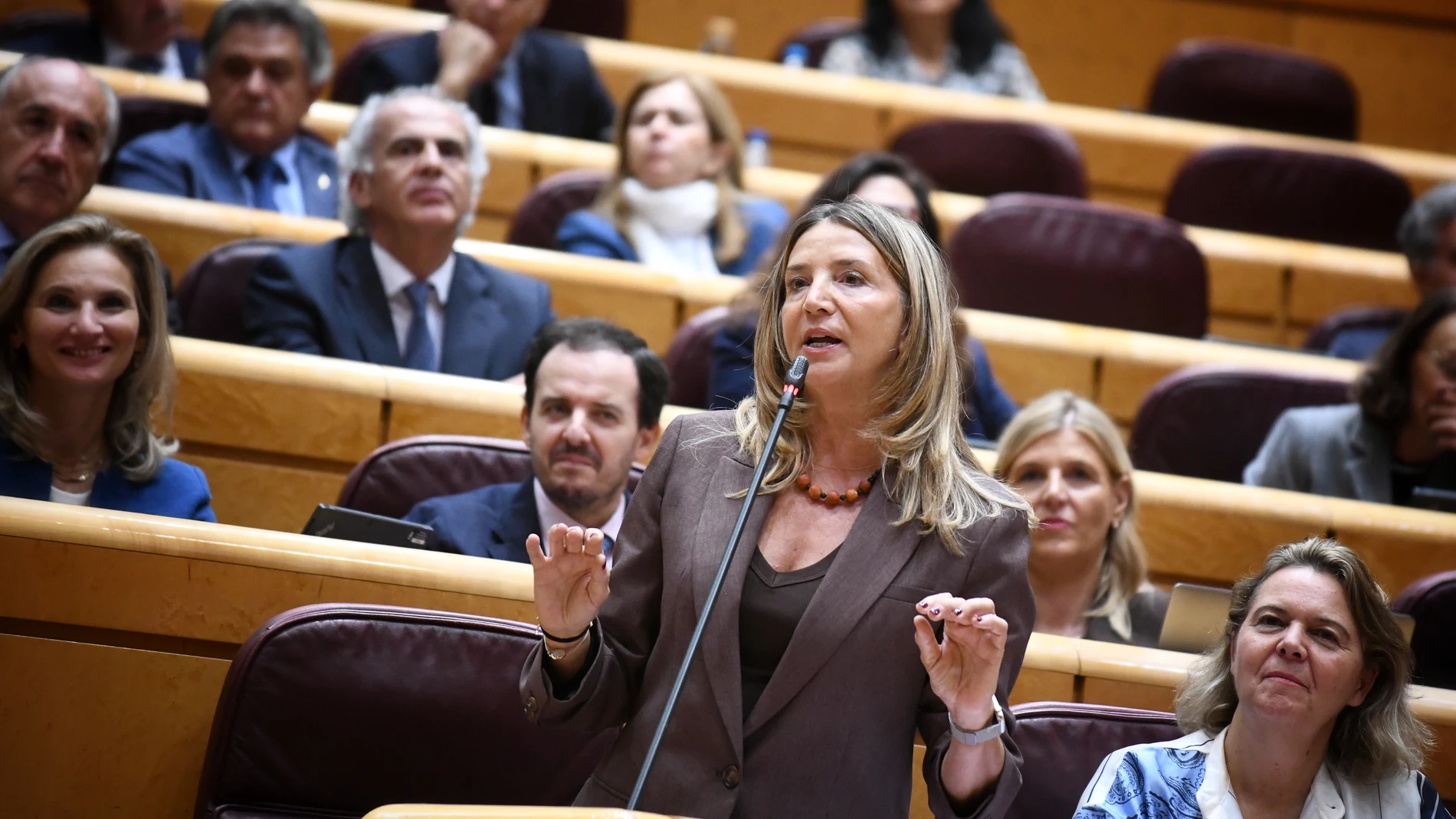 La portavoz del PP en el Senado, Alicia García, interviene durante una sesión de control al Gobierno en la Cámara Alta, a 21 de octubre de 2022, en Madrid (España). El Gobierno se enfrenta de nuevo a preguntas relacionadas con la estabilidad económica por la falta de presupuestos generales, así como mociones sobre empleo, migración y derechos de las mujeres. 21 OCTUBRE 2025;SENADO;SESIÓN DE CONTROL;MADRID;INESTABILIDAD ECONÓMICA Fernando Sánchez / Europa Press 21/10/2025