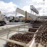 Planta de Azucarera en la localidad zamorana de Toro