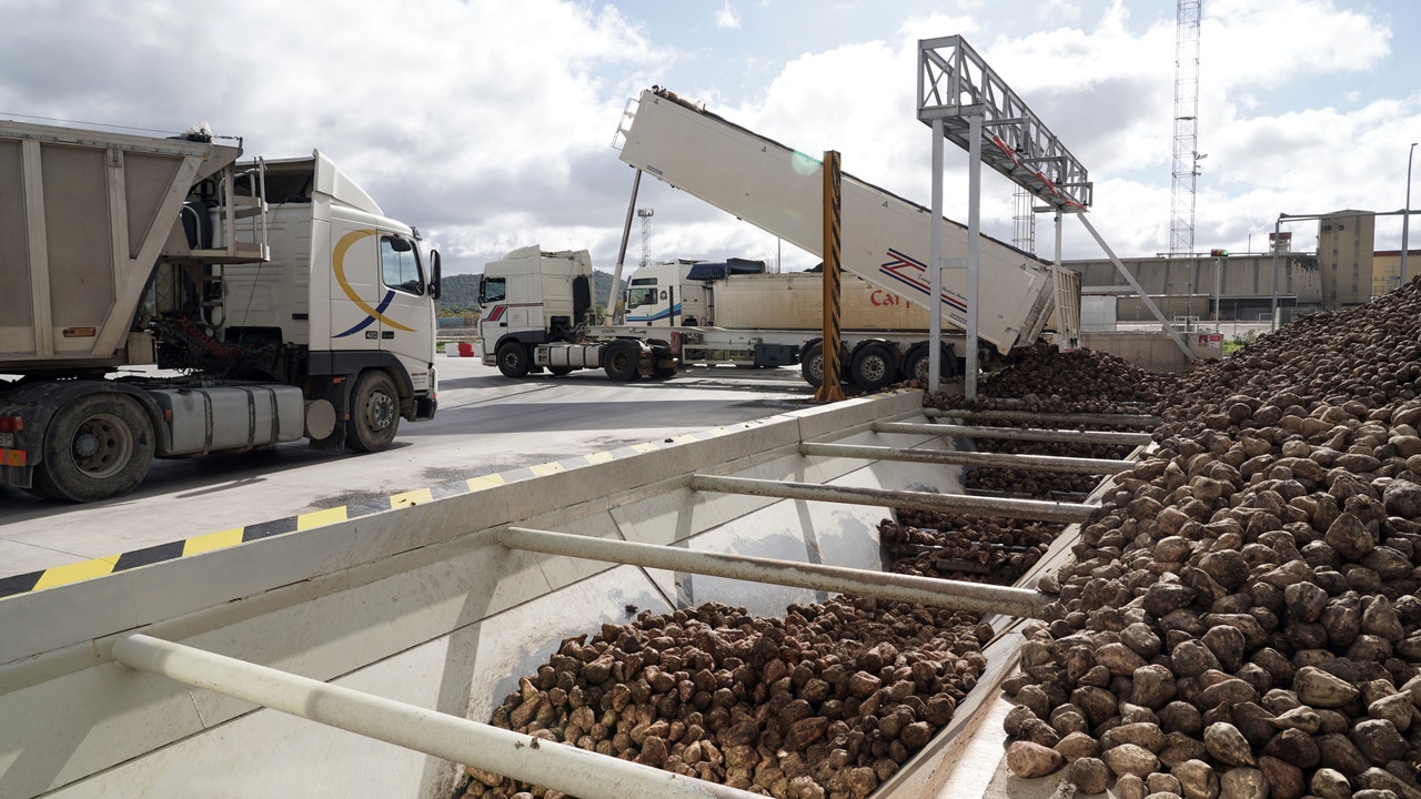 Azucarera pondrá en marcha el próximo lunes la campaña remolachera con la apertura de la planta de Toro (Zamora)